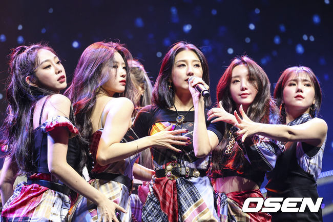 OSEN DB.