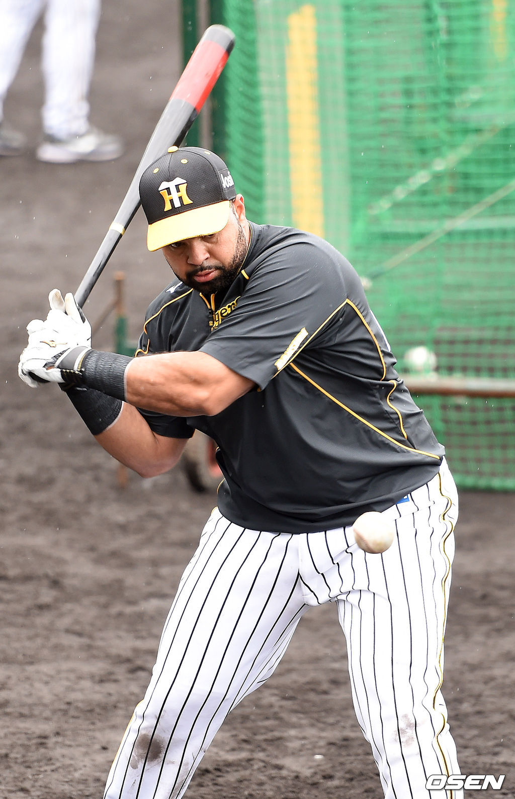 한신 타이거즈 시절 윌린 로사리오. /OSEN DB