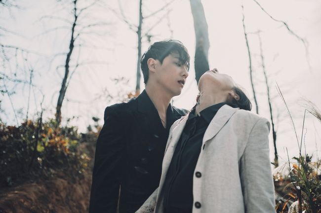 tvN 제공