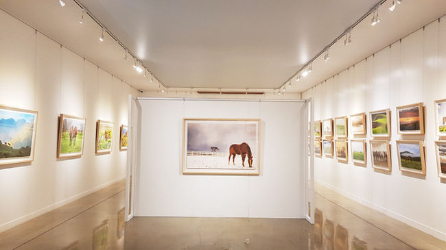 [사진]한국마사회 제공