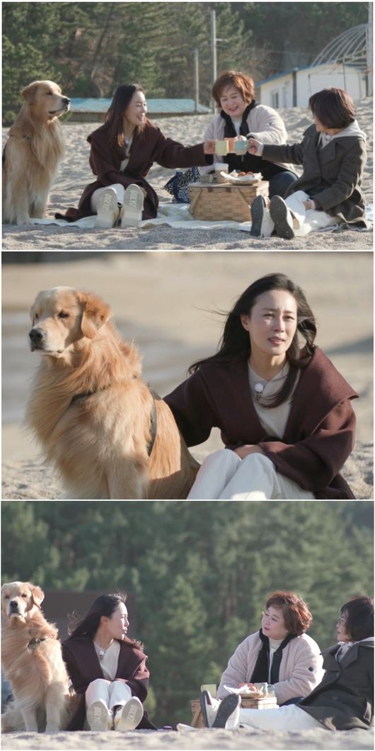 '한 번쯤 멈출 수밖에' 제공