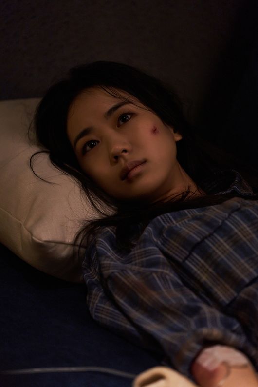 하이스토리디앤씨, JTBC스튜디오 제공