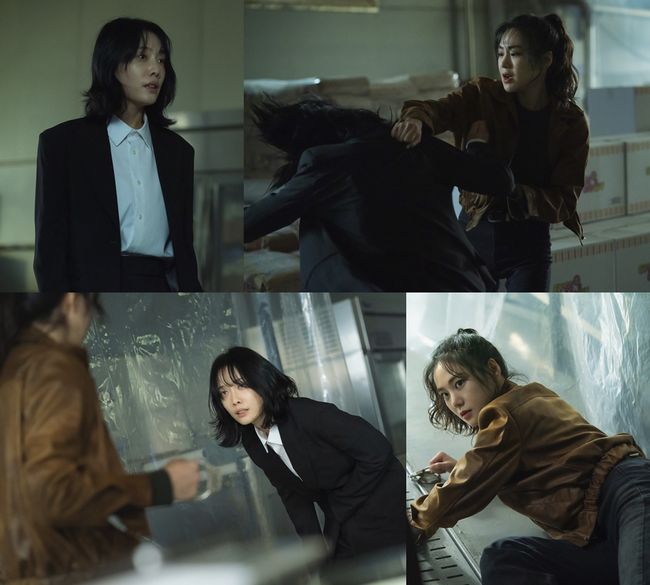 tvN 제공
