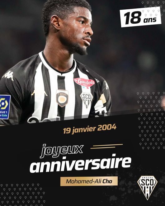 [사진]앙제 트위터