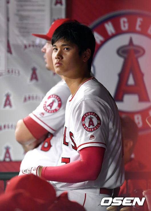 LA 에인절스 오타니 쇼헤이 / OSEN DB
