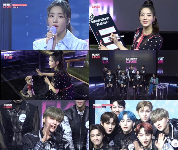 블렌딩 제공