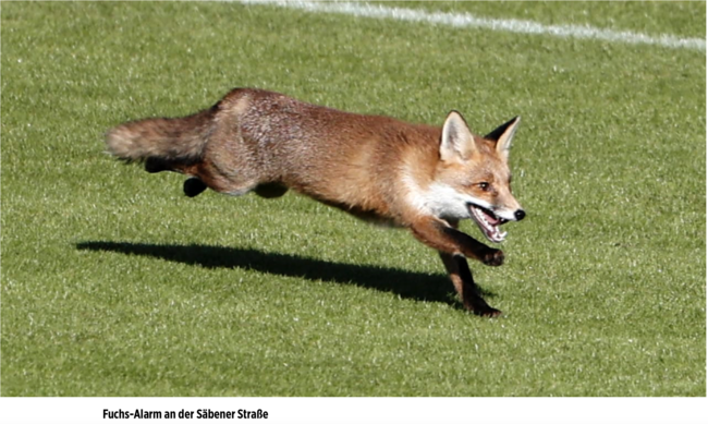 [사진] 빌트 홈페이지 캡처