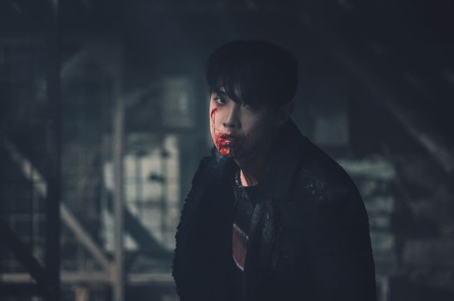 tvN 제공