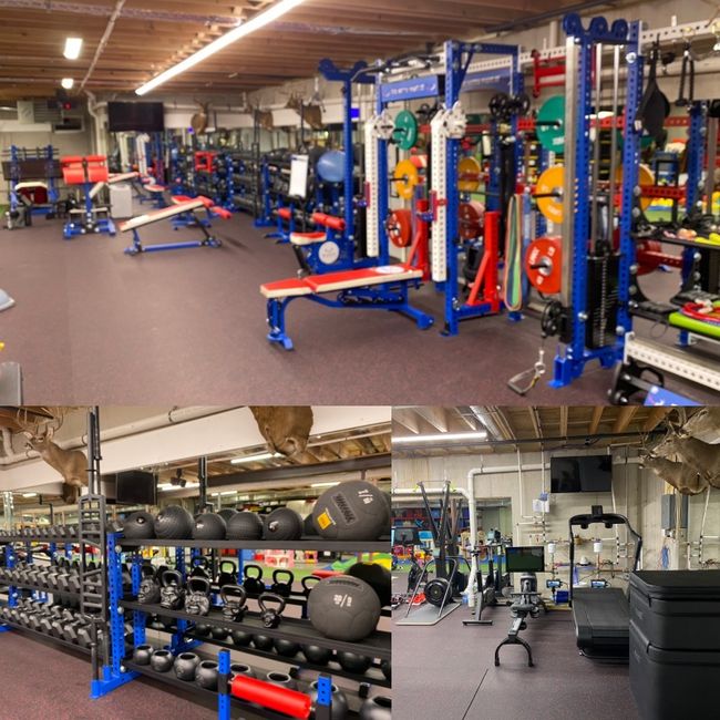 데이비드 뷰캐넌 제공