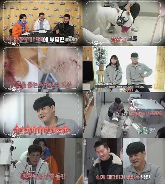 KBS 제공