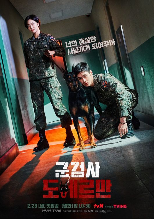 tvN 제공