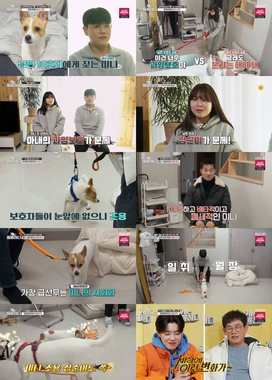 방송화면 캡쳐