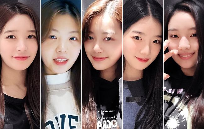 펑키스튜디오 제공