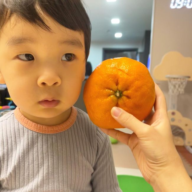 서수연 인스타그램