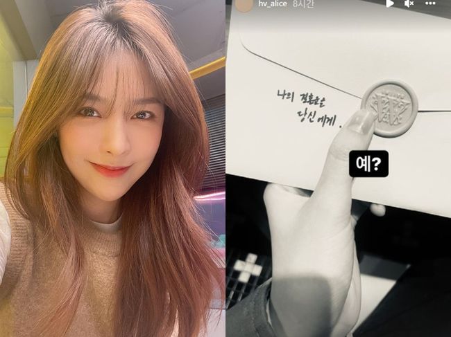 헬로비너스 앨리스 인스타그램