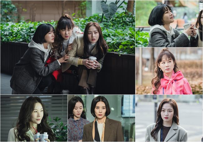 tvN 제공