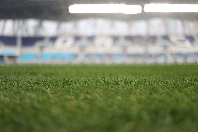 [사진]DGB대구은행파크 잔디 /한국프로축구연맹 제공