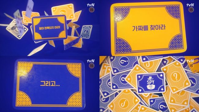 tvN 제공