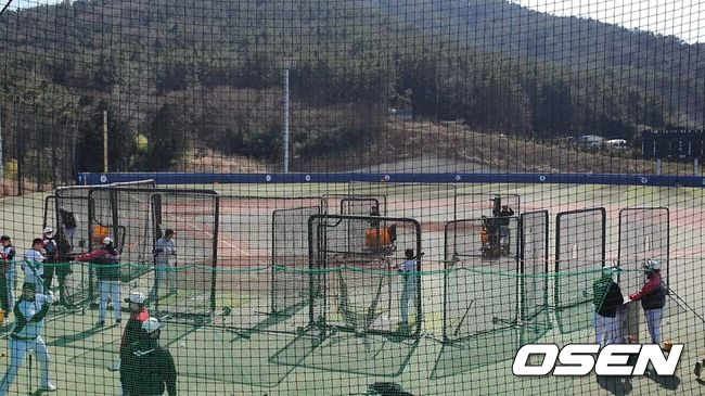 통영 캠프에서 타격 훈련을 하는 LG 타자들. /OSEN DB