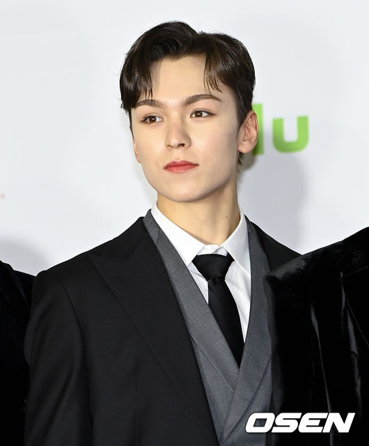 2일 오후 서울 강서구 KBS 아레나홀에서 2021 Asia Artist Awards(2021 AAA) 레드카펫 행사가 열렸다. 세븐틴 버논이 포즈를 취하고 있다. 2021.12.02 /cej@osen.co.kr
