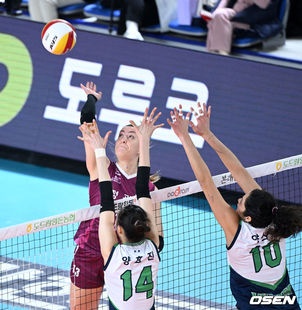 25일 오후 대전 충무체육관에서 열린 프로배구 도드람 2021-2022 V리그 여자부 KGC인삼공사와 현대건설의 경기, KGC인삼공사 옐레나가 공격을 시도하고 있다. 2022.02.25 /sunday@osen.co.kr