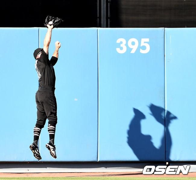 양키스 중견수 브렛 가드너가 점프 캐치를 하고 있다. /OSEN DB