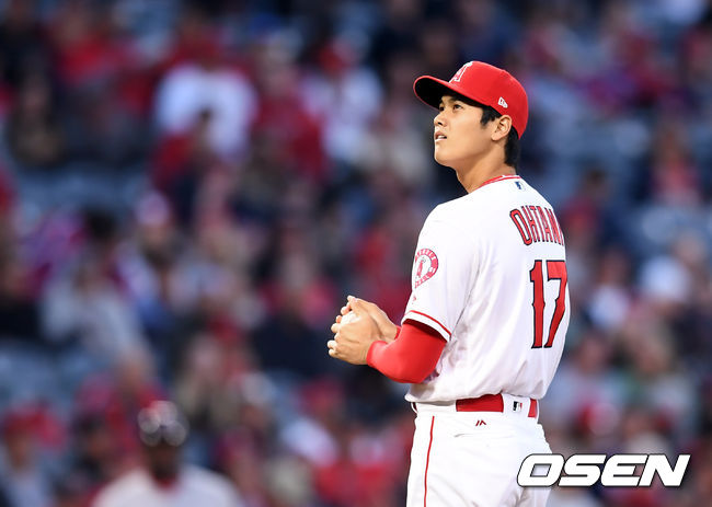 오타니 쇼헤이 / OSEN DB
