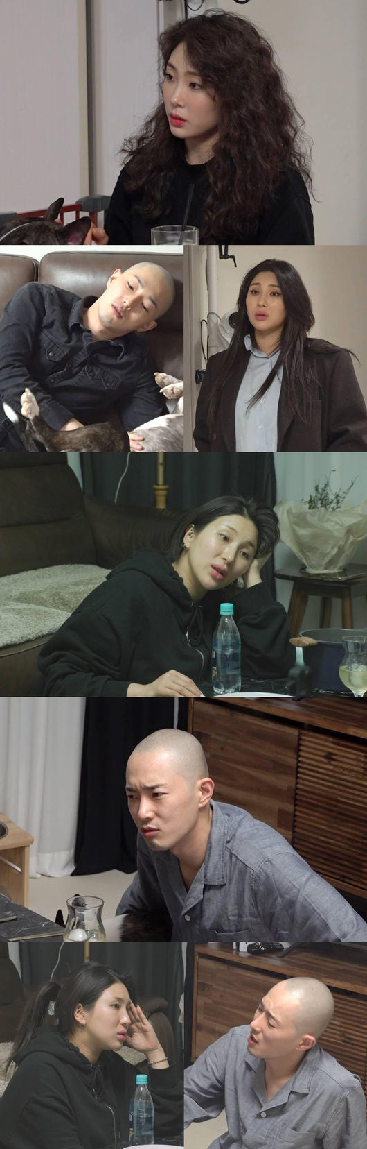 SBS 제공