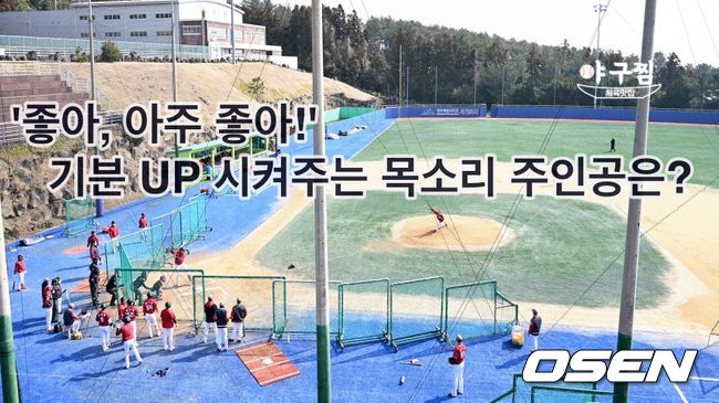 SSG 선수들과 코칭스태프가 라이브피칭 훈련을 펼치고 있다. 2022.02.21 / dreamer@osen.co.kr