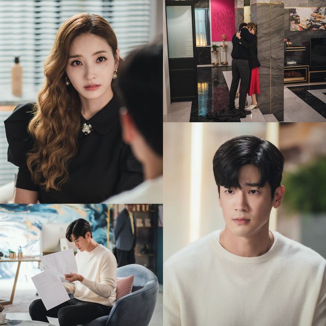 빅토리콘텐츠 제공