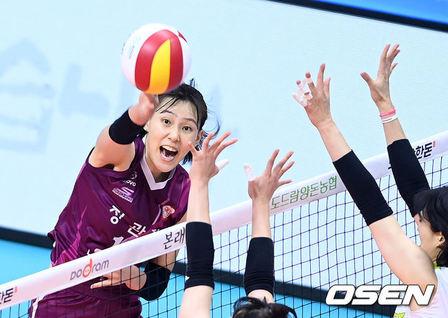 KGC인삼공사 이선우 /OSEN DB