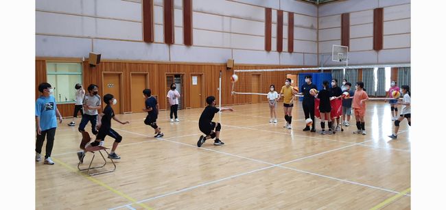 한국배구연맹 제공