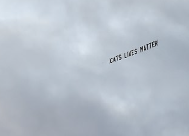 [사진] 데일리 메일 홈페이지 캡처