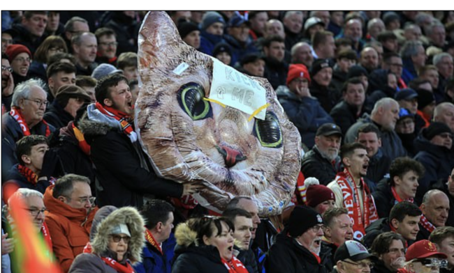 [사진] 데일리 메일 캡처