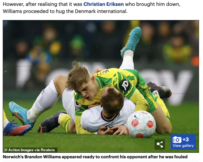 [사진] 데일리 메일 홈페이지 캡쳐.