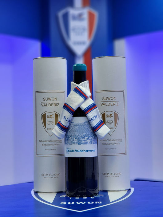 [사진] 수원삼성 제공.