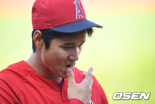 오타니 쇼헤이 /OSEN DB