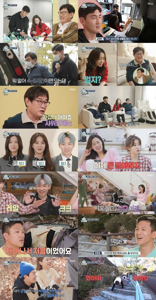 '호적메이트' 제공