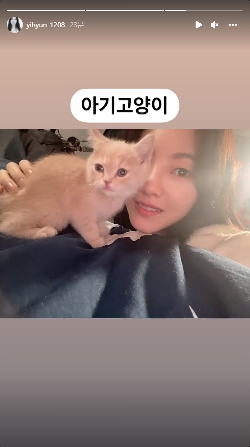 조이현 인스타그램