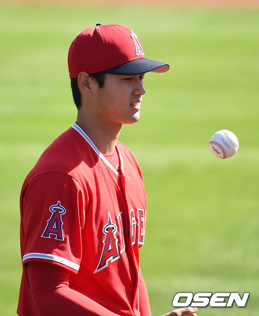 오타니 쇼헤이 /OSEN DB