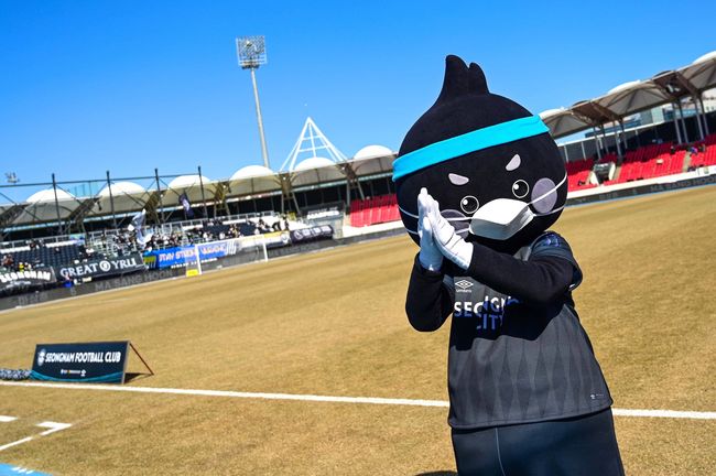 [사진]성남FC 제공