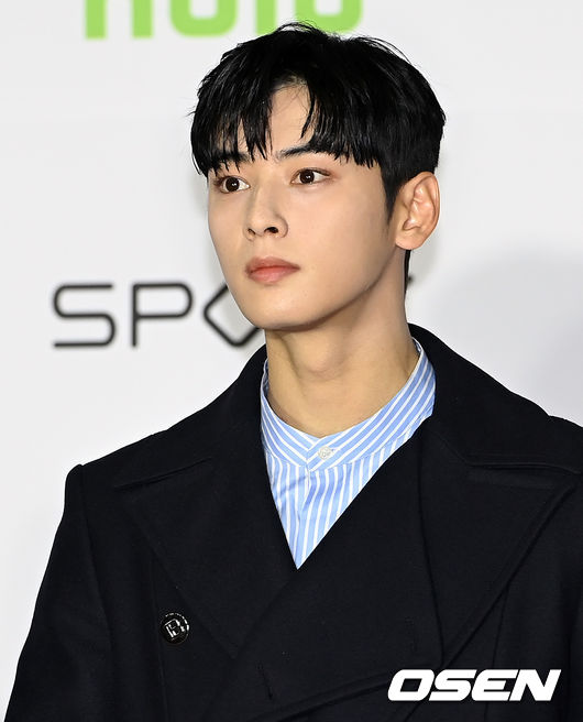 2일 오후 서울 강서구 KBS 아레나홀에서 2021 아시아 아트스트 어워즈(2021 Asia Artist Awards, 2021 AAA) 레드카펫 행사가 열렸다.<br /> <br />아스트로 차은우가 포즈를 취하고 있다. 2021.12.02 /cej@osen.co.kr