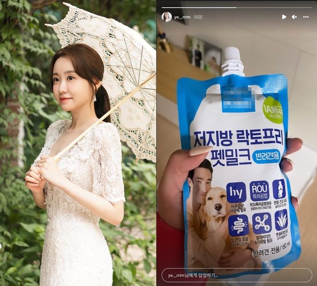 이예림 인스타그램