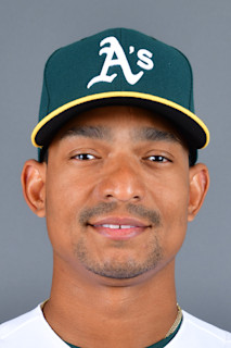 메이저리그 공식 홈페이지 캡처