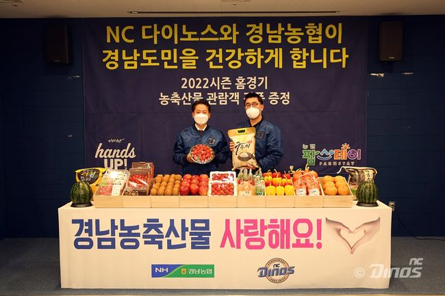 NC 다이노스 제공