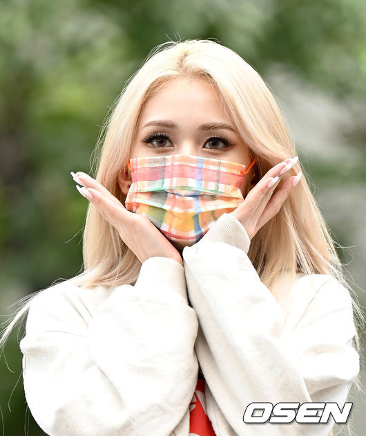 OSEN DB.