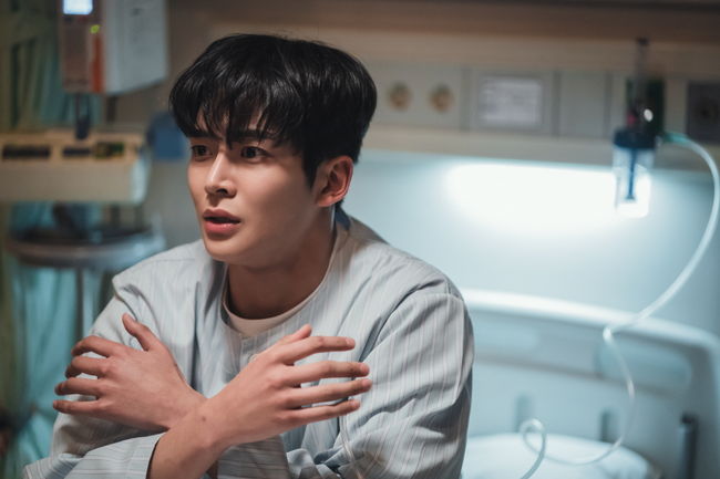'내일' 제공