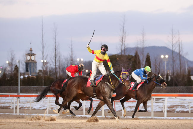 [사진]어디가나 /한국마사회 제공