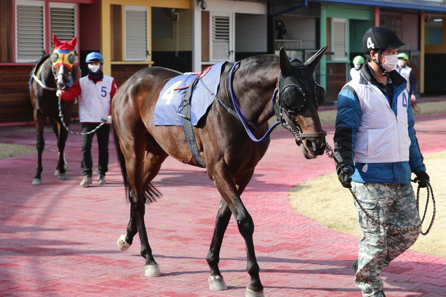 [사진]스팟플래터 /한국마사회 제공