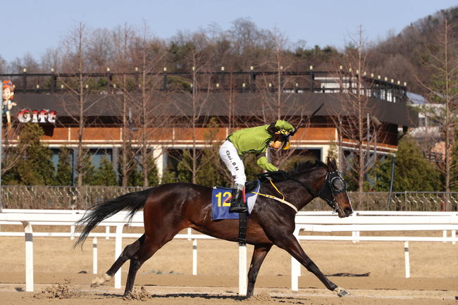 [사진]한국마사회 제공